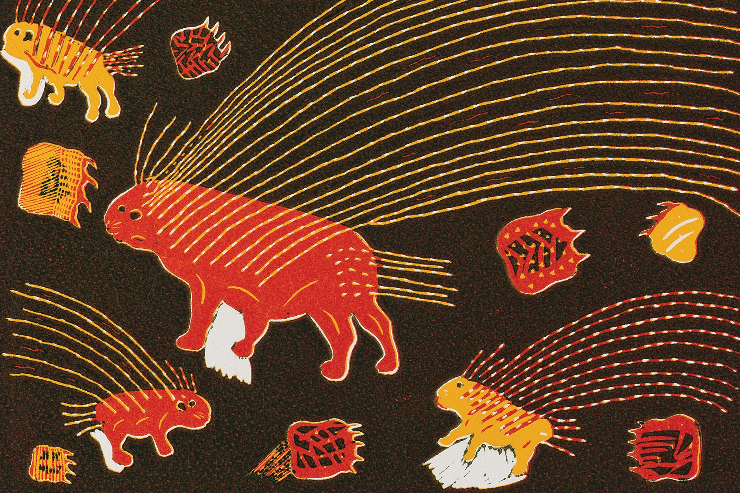 Colours of the Kalahari - Brand identity & exhibition